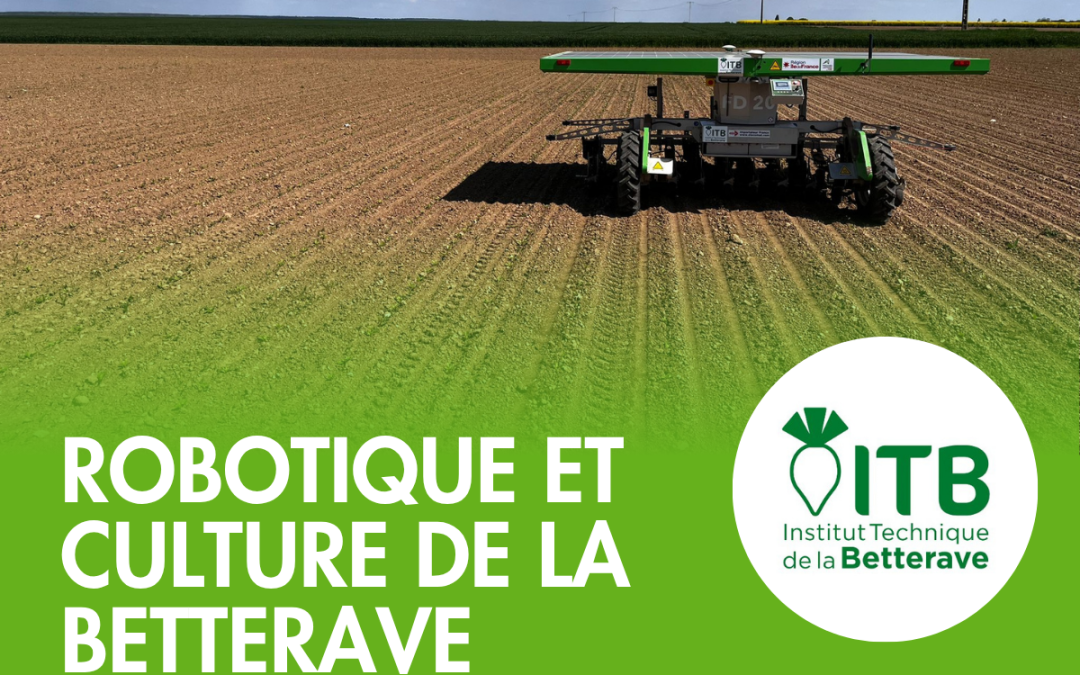 Robotique agricole en betterave : entretien avec l&rsquo;ITB