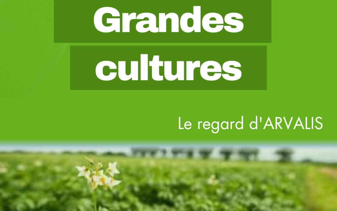 Robotique agricole en grandes cultures: comment ARVALIS accompagne la transition agroécologique