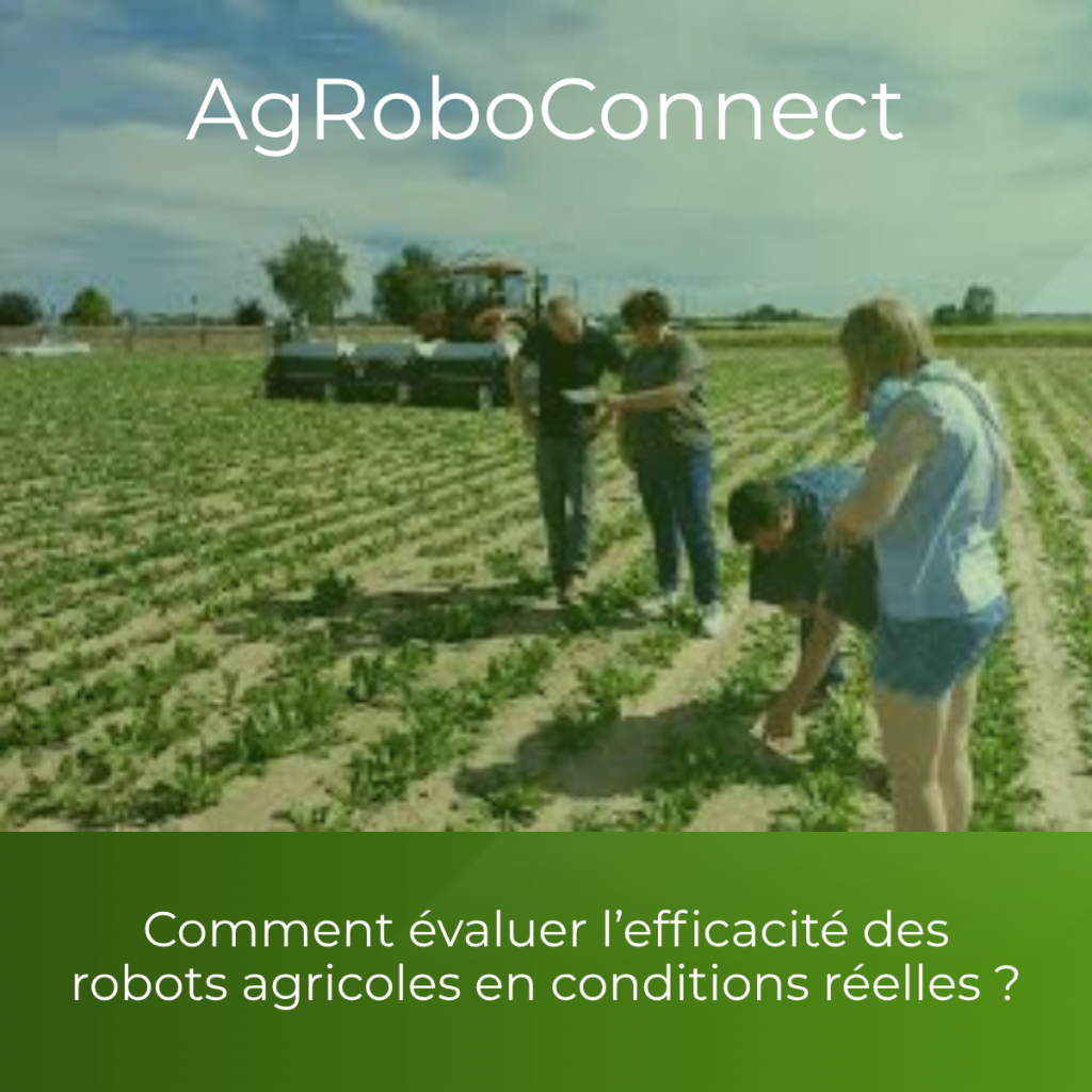 Démonstration de robots agricoles de désherbage en grandes cultures dans le cadre du projet européen AgRoboConnect.