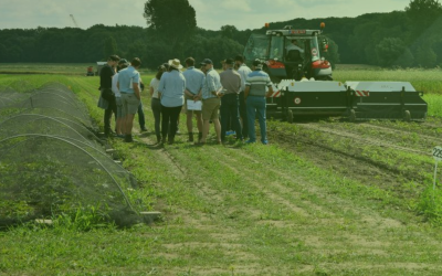 Biocontrôle en viticulture: la robotique, un levier pour relever les défis de l’application